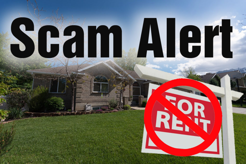 avoid rental scams