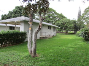 Honolulu Property Manager