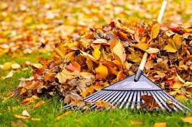 fall lawn preparedness