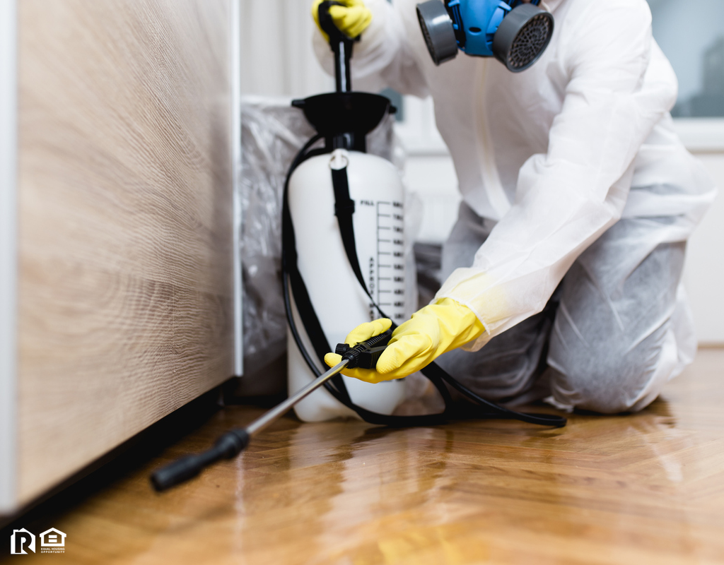 Exterminator Hard at Work in a East Haven Rental Home