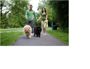 pets