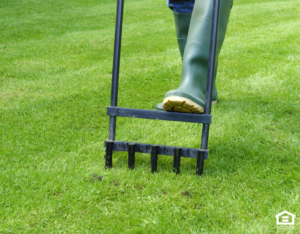 Manually Aerating the Lawn at a Rental Home in Rockville