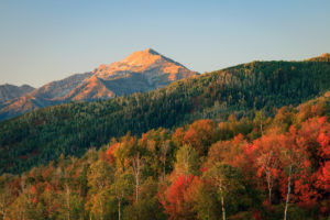 Early Autumn in the Wasatch Mountains, Utah, USA