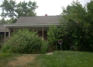house-overgrown-bushes-s