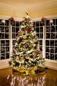 tips on setting up a christmas tree