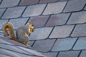 Spring Cleaning Tips for Anchorage Landlords