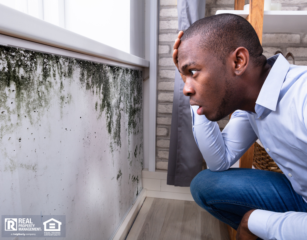 Palisade Tenant Looking at Mold in His Rental Home