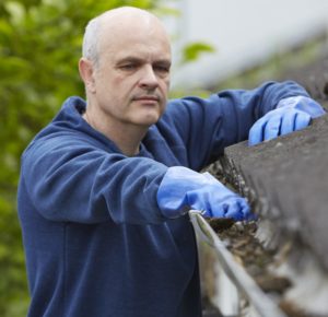 Man Clearing Leaves From Guttering Of House