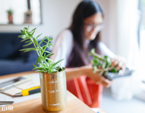 Sterling Heights Woman Repurposing Metal Cans for Planters on her Desk