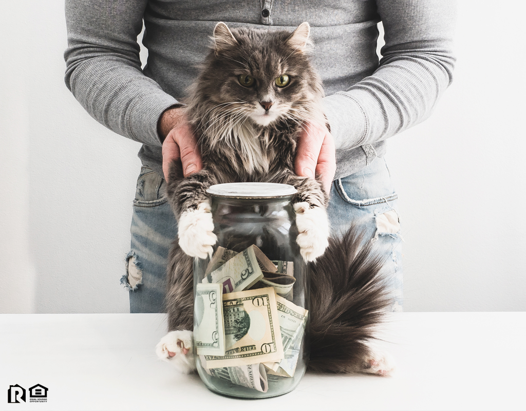 Newbury Park Tenant with a Piggy Bank and a Cute Cat