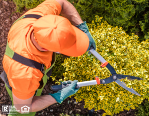 professional landscaping company