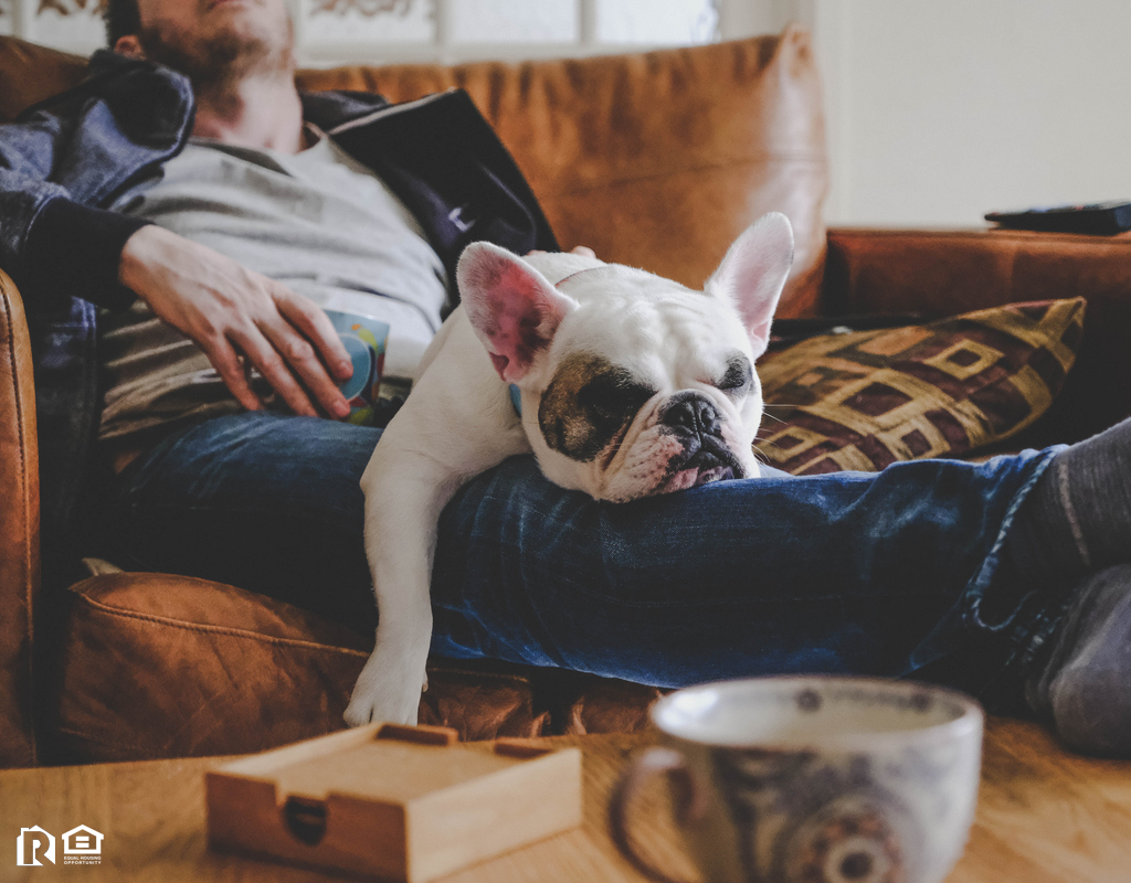 Fernandina Beach Man with French Bulldog in His Lap