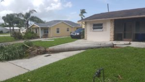 Hurricane Season