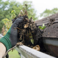 cleaning gutters during the summer time