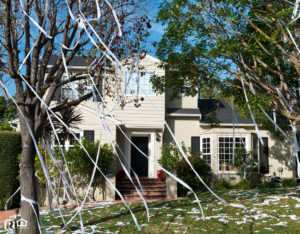 Gilbert Rental Property with Toilet Paper in the Trees
