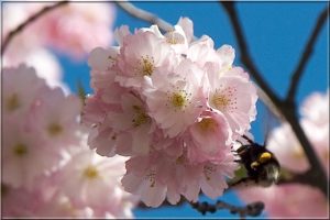 Spring Maintenance