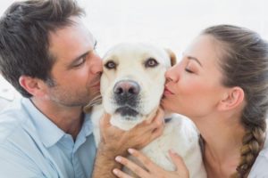 pets