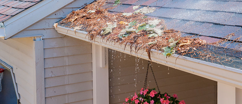 why cleaning your gutters protects your home