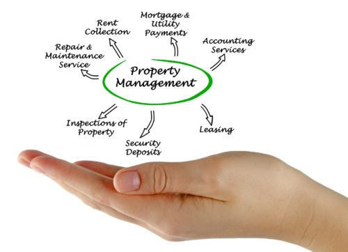 Blue Ribbon Leasing + Management - Real Property Management of Sarasota & Manatee