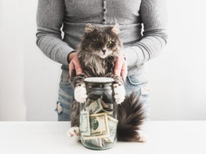 Man with a piggy bank in the form of a jar with money inside and a cute cat