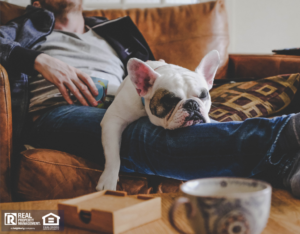 Sun Prairie Tenant Spending a Lazy Afternoon with Their Dog