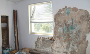 Southern Maryland Rental Property Being Restored After Mold Remediation Services