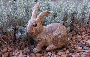 Adorable Wooden Bunny Rabbit Sitting Along the Edges of a Xeriscaped Yard in St Mary's County