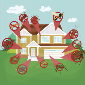 Keeping Your Prince Frederick Rental Property Pest Free