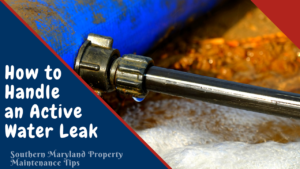 How to Handle an Active Water Leak