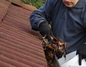 Prince Frederick Rental Property Owner Cleaning the Gutters for Spring Cleaning