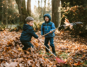 A Pair of Boys Raking Up the Autumn Leaves in La Plata