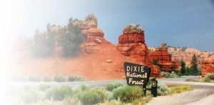 Dixie National Forest Southern Utah