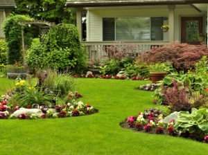 Cambridge Rental Property with Perfectly Groomed Yard and Multiple Flowerbeds