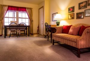 Fresh New Carpet in the Living Room of a Rental Property