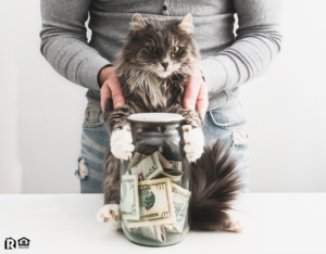 Baxter Tenant with a Piggy Bank and a Cute Cat