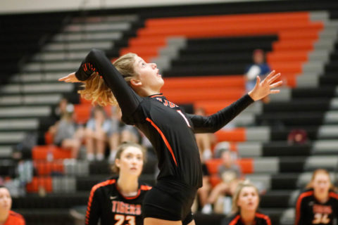 Kailey Manes