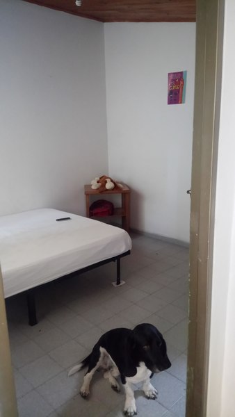 Foto principal habitación