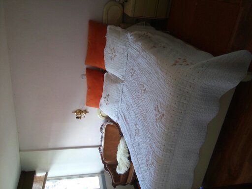 Foto habitación 5