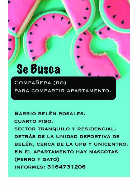 Foto principal habitación