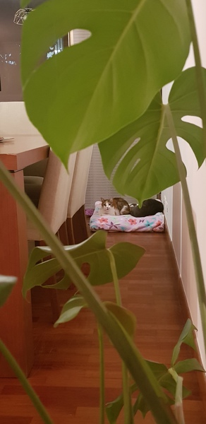 Foto habitación 3