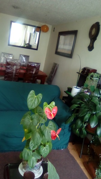Foto habitación 3