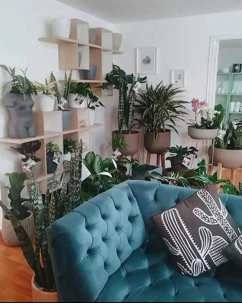 Foto habitación 2