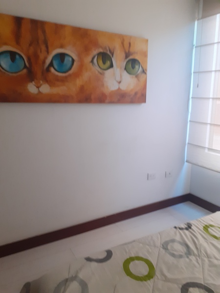 Foto habitación 2