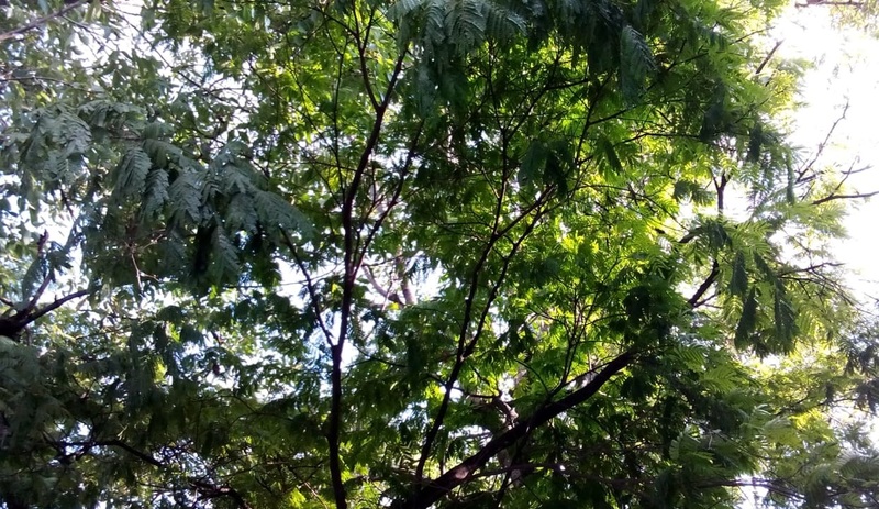 Foto habitación 3