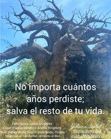 Para ancianos. Actividades ocupacionales y lúdicas  - Imagen 5