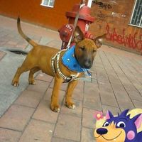 camilo