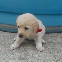 keila