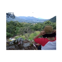Dayana