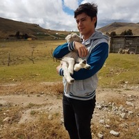 OSCAR ANDRES