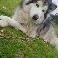 Julián andres